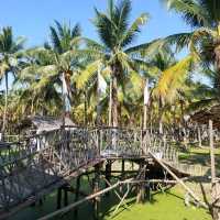 Coconut market - กาดบะป๊าว เชียงใหม่