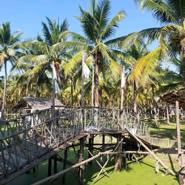 Coconut market - กาดบะป๊าว เชียงใหม่