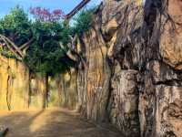 สวนสัตว์และพฤกษศาสตร์ฮิงาชิยามา 東山動植物園