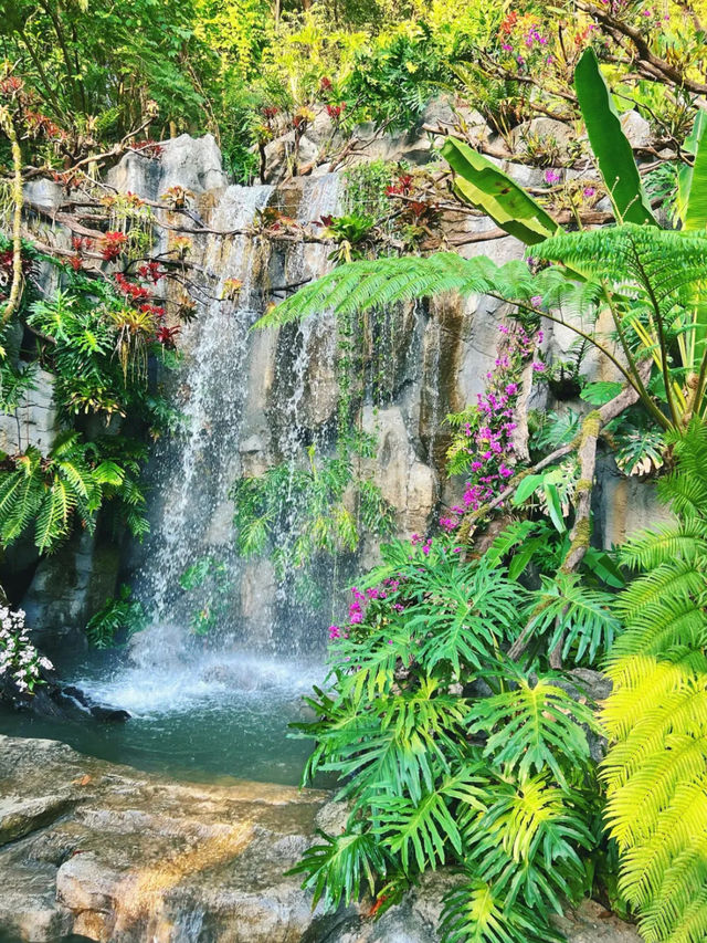 廣州景點📸 雲蘿植物園