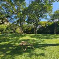 ร้านคาเฟ่ มัลเบอร์รี่ เมลโล่ กาญจนบุรี