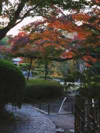 景點推薦：松風園——福岡黃葉季的靜謐庭園之美
