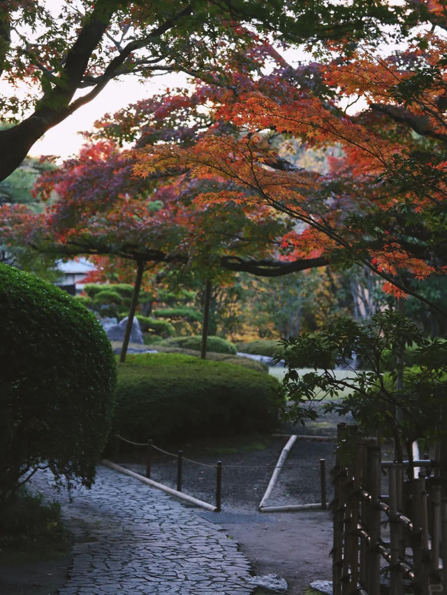 景點推薦：松風園——福岡黃葉季的靜謐庭園之美