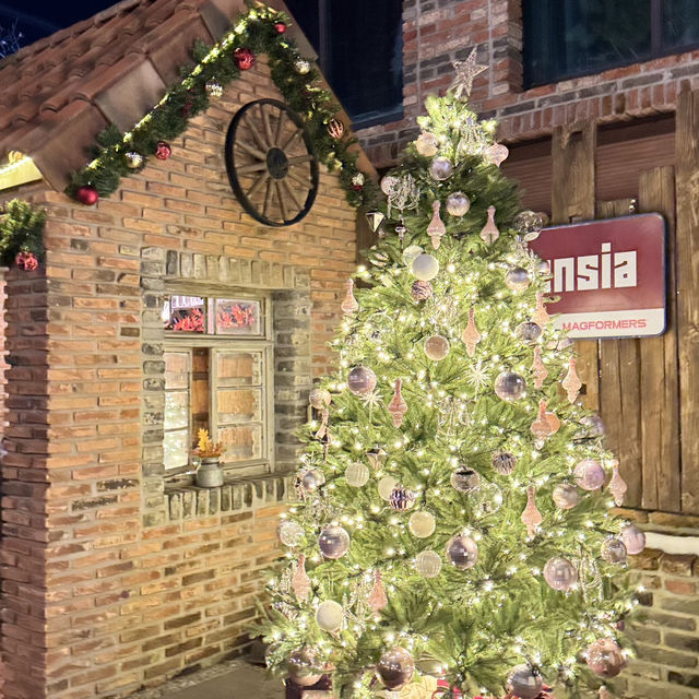 야외와 실내 모두 즐길 수 있는 겨울 데이트 코스 장소✨🎄
