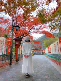 山口県古刹😊紅葉名所🍁大寧寺🍁たいねいじ