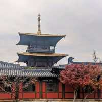 探索上海的起源：廣富林文化遺址&水下博物館