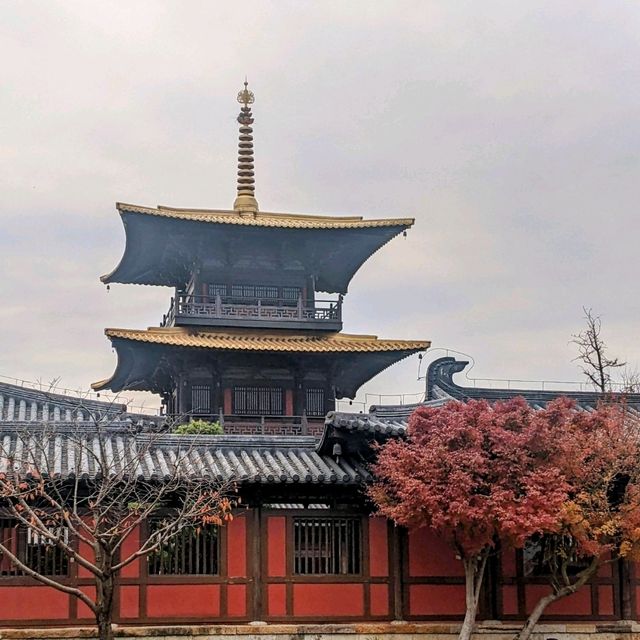 探索上海的起源：廣富林文化遺址&水下博物館