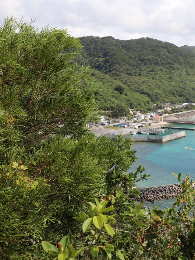 【沖縄🇯🇵】鮮やかな青い海を眺めて💙