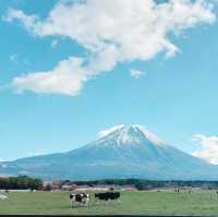 Such a lovely autumn colors with Mt,Fuji!
