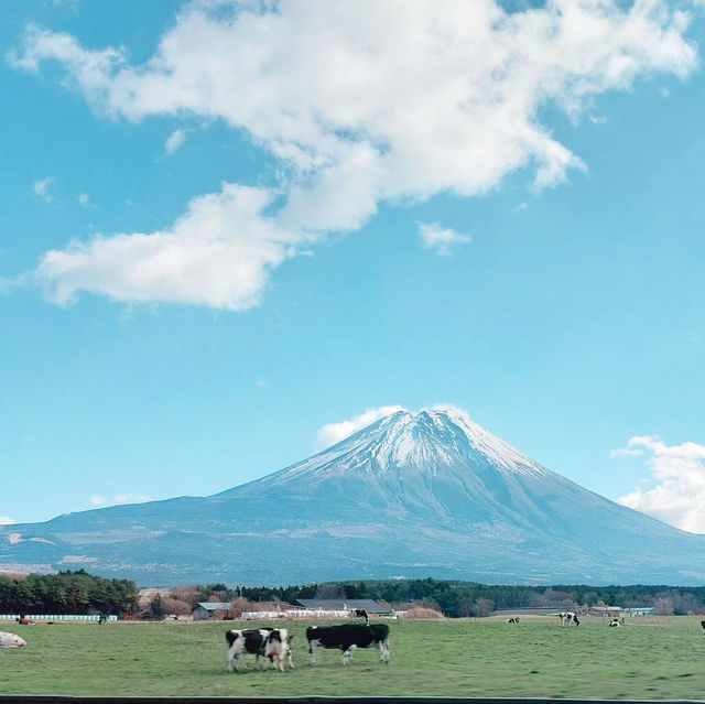 Such a lovely autumn colors with Mt,Fuji!