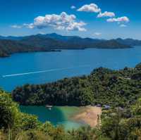 Tranquil Trails and Sweet Treats: Discovering the Havelock Link Track 