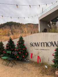 청도카페 가기좋은 청도데이트 추천 "소우모우"🏠