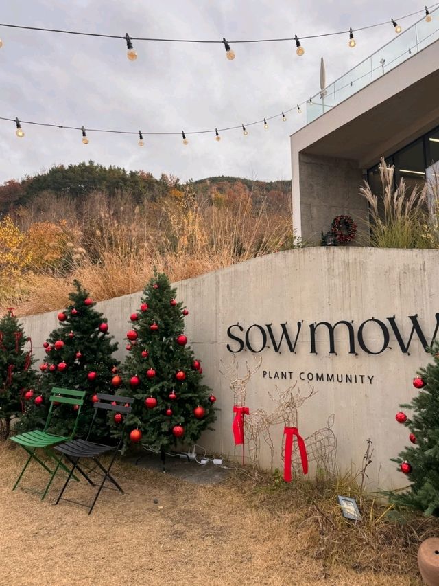 청도카페 가기좋은 청도데이트 추천 "소우모우"🏠