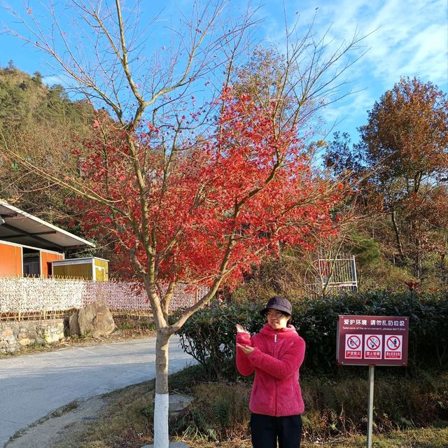 廣東粤北山區的美景真是美翻天了！！终身難忘的地方
