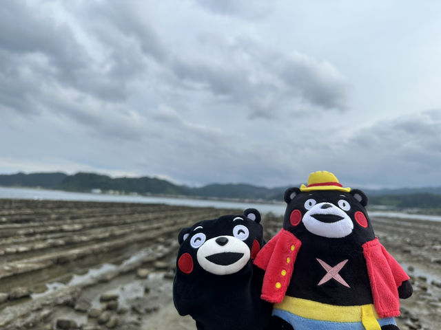 青島的自然生態岩石「鬼之洗衣板」及青島神社⛩️