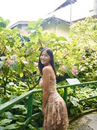 沙巴 | 隱藏在神山附近kinabalu park的秘密花園🌸