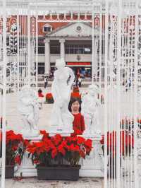 花蓮鳳林｜墾夢莊園兆豐農場 超大農場玩不完！