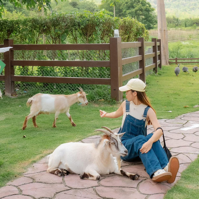 สวนสัตว์สุดคิ้วท์ในสวนผึ้ง 🦙🌲