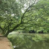感受栗林公園的自然魅力與文化底蘊
