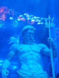 นางเงือกมีจริงที่ Zhejiang Polar Ocean World