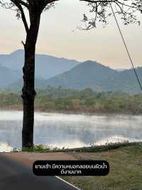 แคมป์ปิ้งราชบุรี บรรยากาศดีจนอยากไปซ้ำ!
