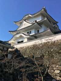 Ueno Park: Tokyo’s Cultural Oasis