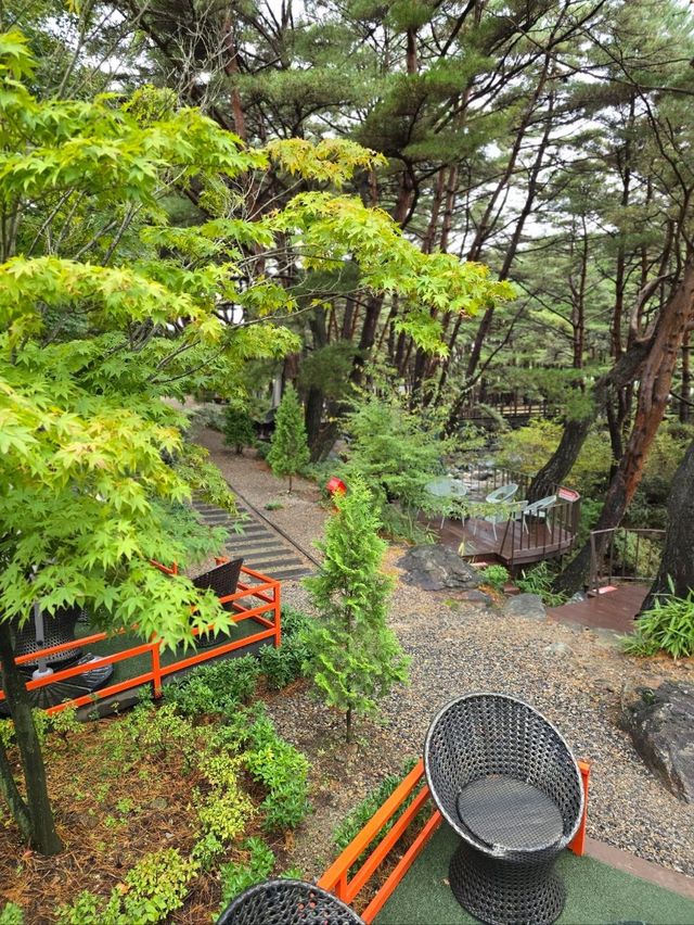 야외정원이 예쁜 무주 역대급 단풍카페🧡