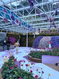 Agro Market: A Fresh Taste of Cameron Highlands