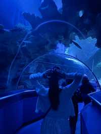 I traveled to Kuala Lumpur solely for this photo: A day trip to KLCC Aquaria 🐠🐡