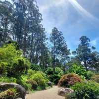 Dandenong Ranges National Park