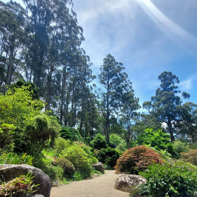 Dandenong Ranges National Park