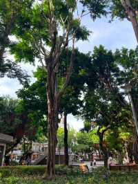 인생샷 100장은 거뜬히 남기는 타이베이 예쁜 공원 총집합!🌳🌴