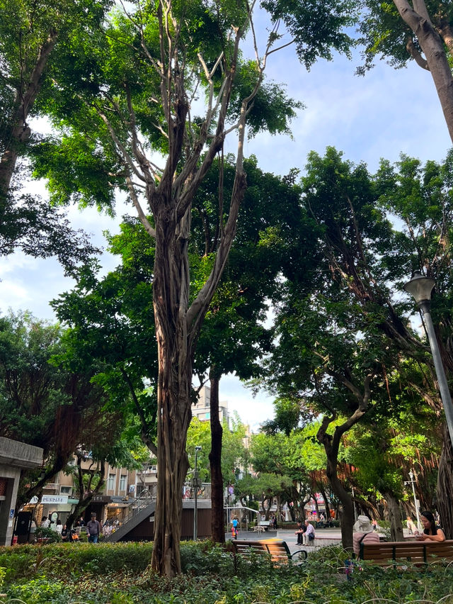 인생샷 100장은 거뜬히 남기는 타이베이 예쁜 공원 총집합!🌳🌴