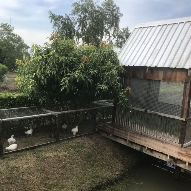 Montreux Cafe and Farm