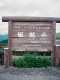 初夏の愛媛・姫鶴平🌿四国随一の絶景高原で心癒されるひとときを