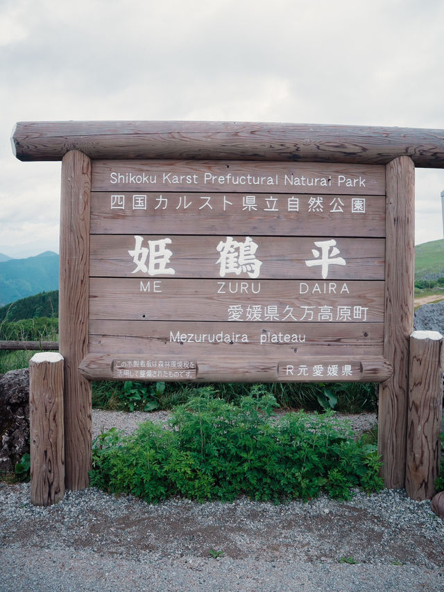 初夏の愛媛・姫鶴平🌿四国随一の絶景高原で心癒されるひとときを