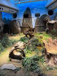 Ocean Park in Hong Kong