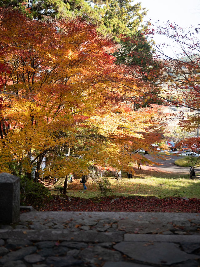 🍁✨ 秋の龍穏寺で静寂と紅葉美を堪能しよう ✨🍁