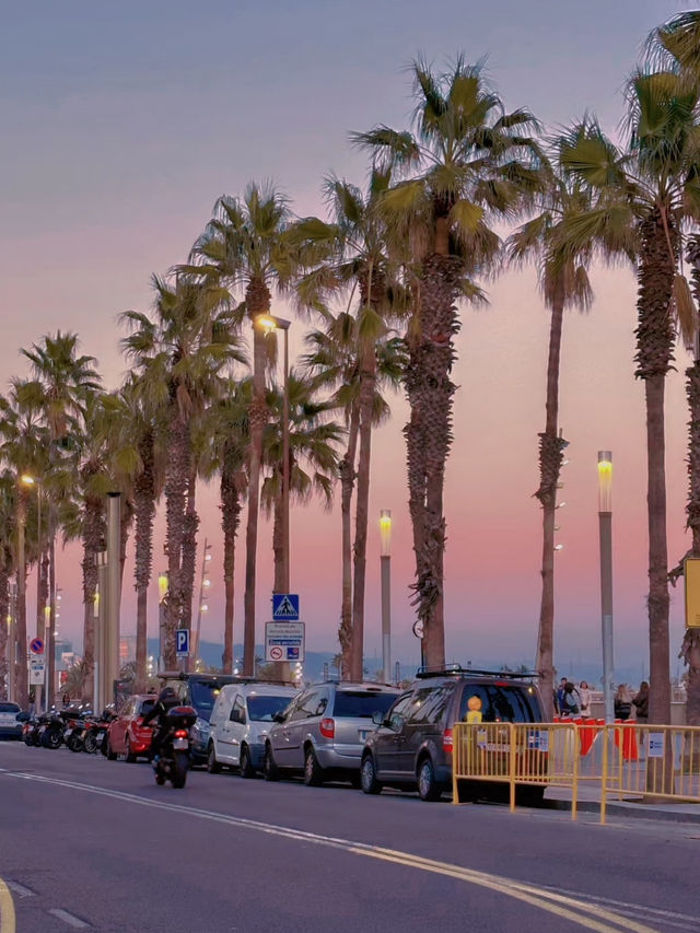 A Beautiful beach of the barcelona✨