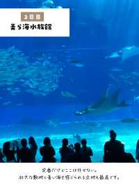 ２泊3日で楽しむ沖縄旅行プラン