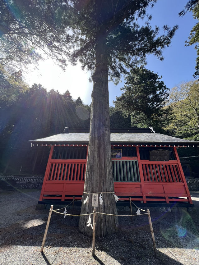 【長野】宿場町の先にある神社