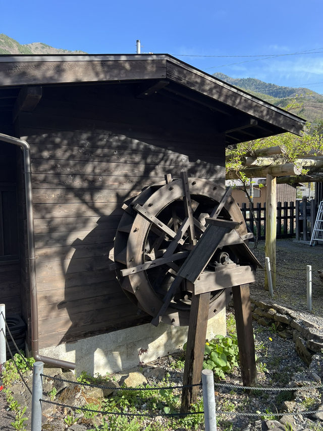 【長野】レトロな駅舎🚉沿線に梅が咲き誇る駅