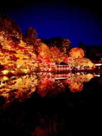 名古屋｜夢幻楓紅倒影的正確打開方式 東山植物園 