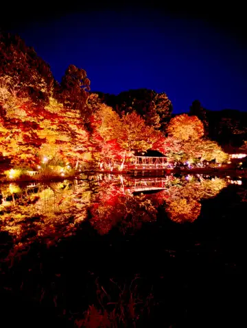 名古屋|夢幻楓紅倒影的正確打開方式 東山植物園