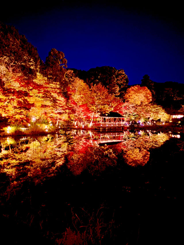 名古屋｜夢幻楓紅倒影的正確打開方式 東山植物園 