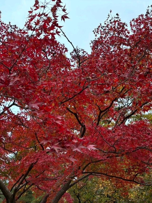 【埼玉県】歩いていける！長瀞周辺〜自然が織り成す美しい景観〜