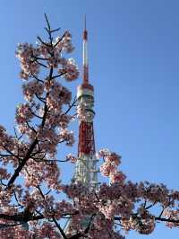 📍東京鐵塔——東京最經典的地標🗼