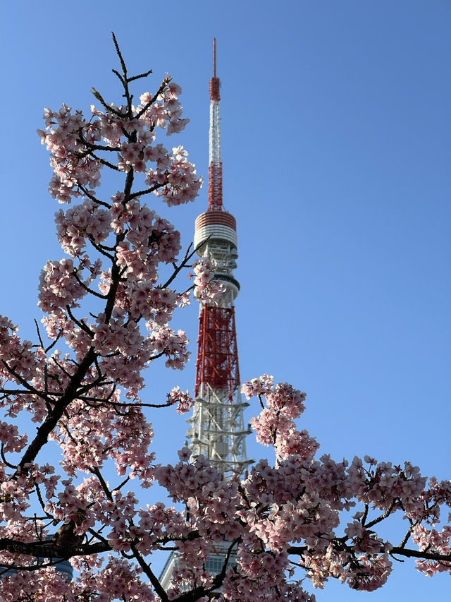 📍東京鐵塔——東京最經典的地標🗼