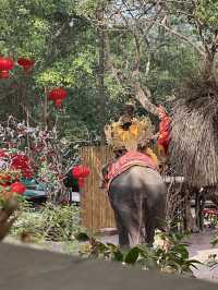 Pattaya （親子旅遊適用）🇹🇭 MongChang Cafe🐘