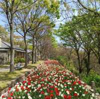 四國香川必去景點-戶外博物館「四國村」